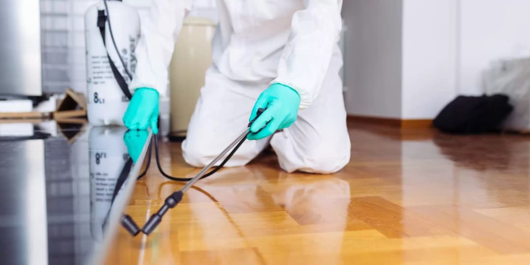 Pest Control