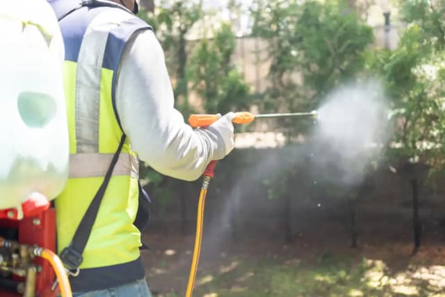 Comprehensive Pest Control Solutions