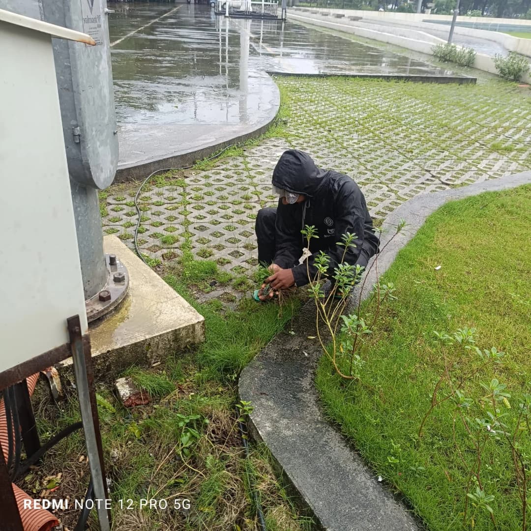Turf Maintenance