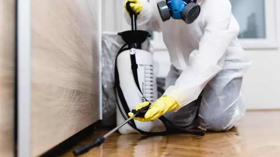 Pest Control